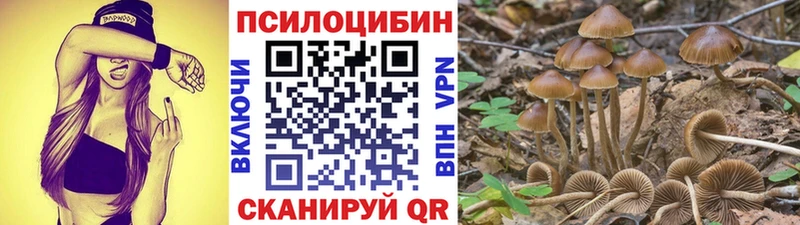 Псилоцибиновые грибы ЛСД  Прокопьевск 